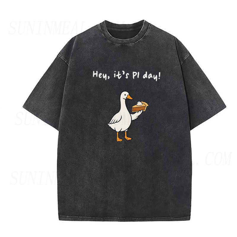 Silly Goose Pi Day Unisex Tee