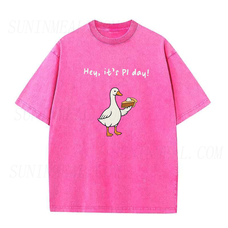 Silly Goose Pi Day Unisex Tee