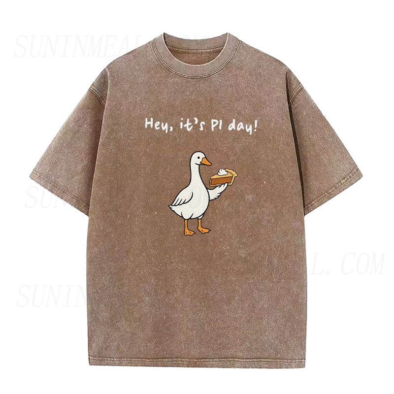 Silly Goose Pi Day Unisex Tee