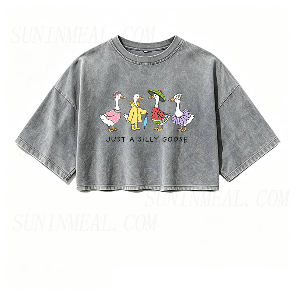 Just A Silly Goose Oversized Crop Tee