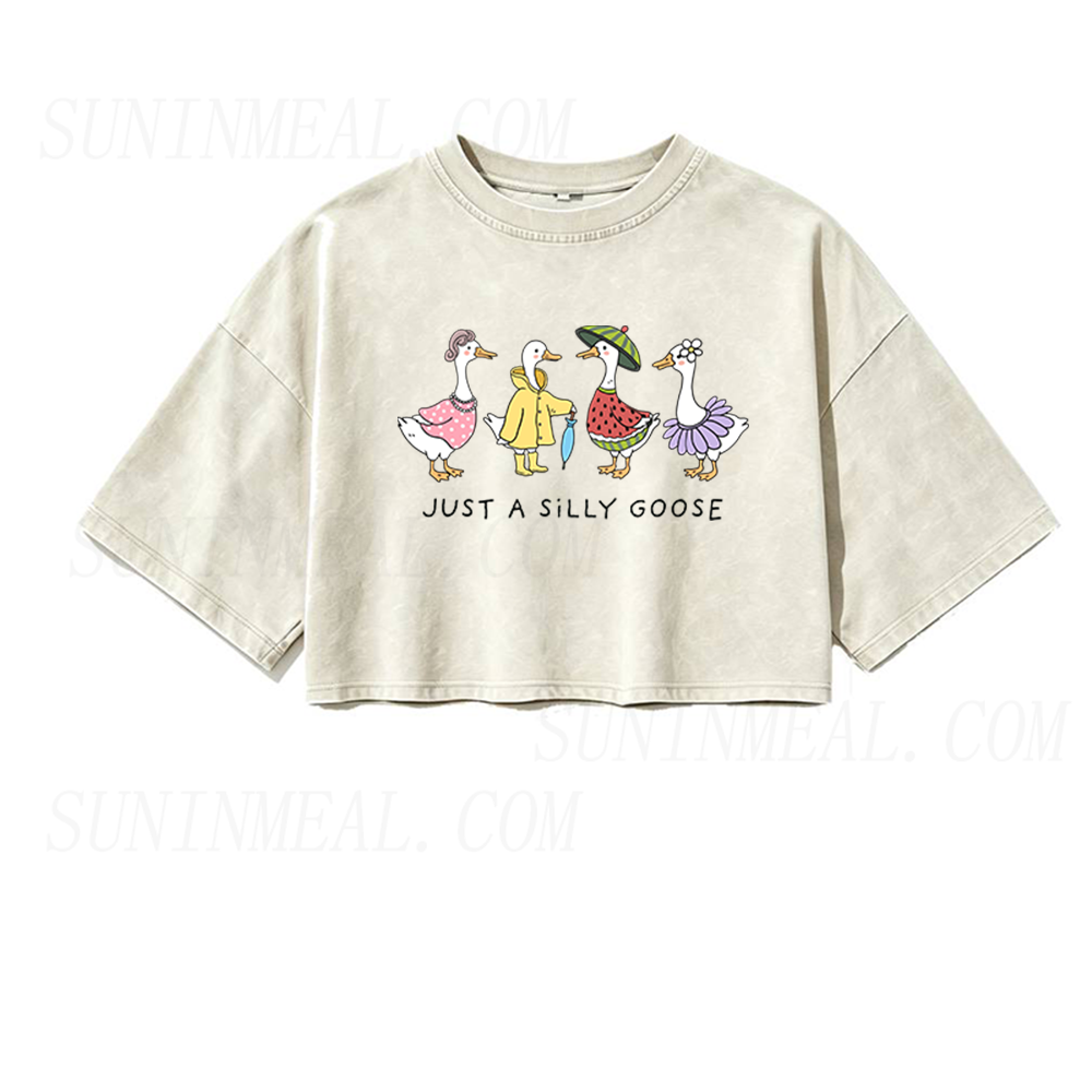 Just A Silly Goose Oversized Crop Tee