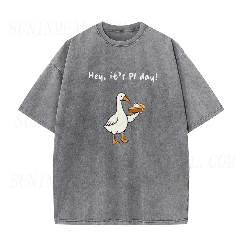 Silly Goose Pi Day Unisex Tee